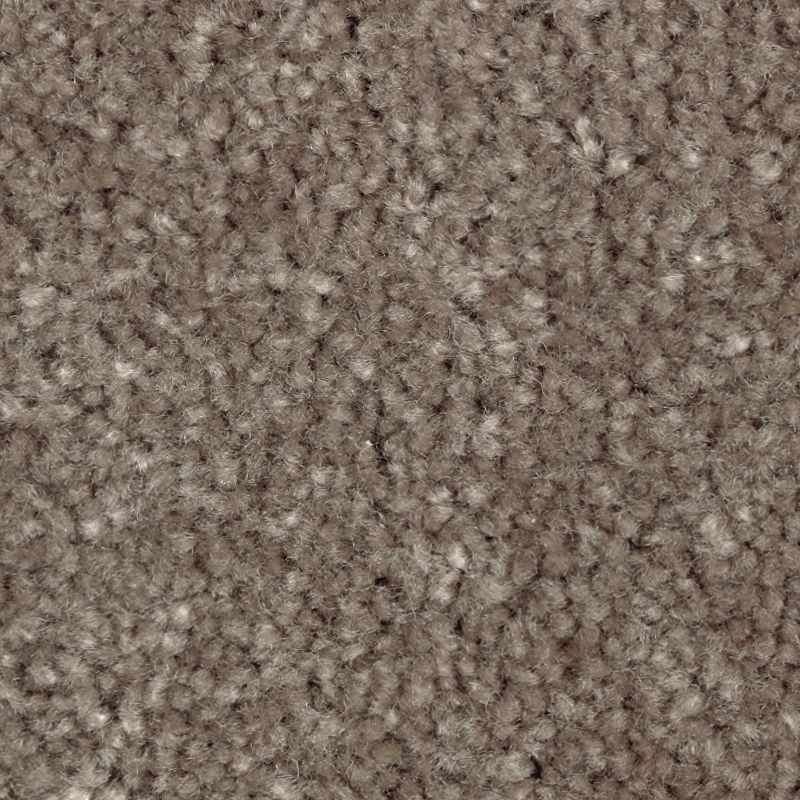 Classical Design I - 850 - Coco Mocha