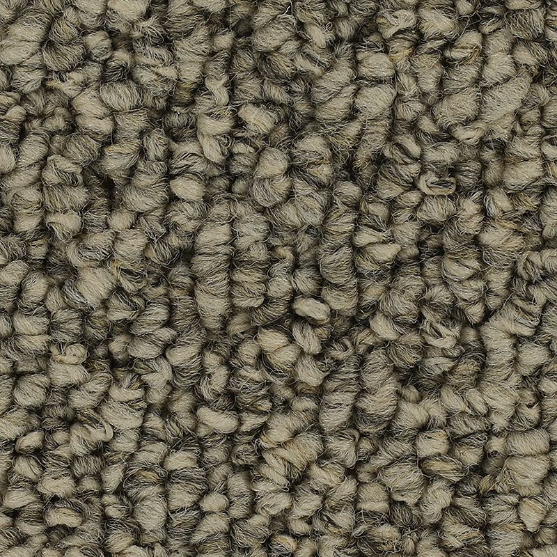 Cozy Classic - 879 - Heathery Tint