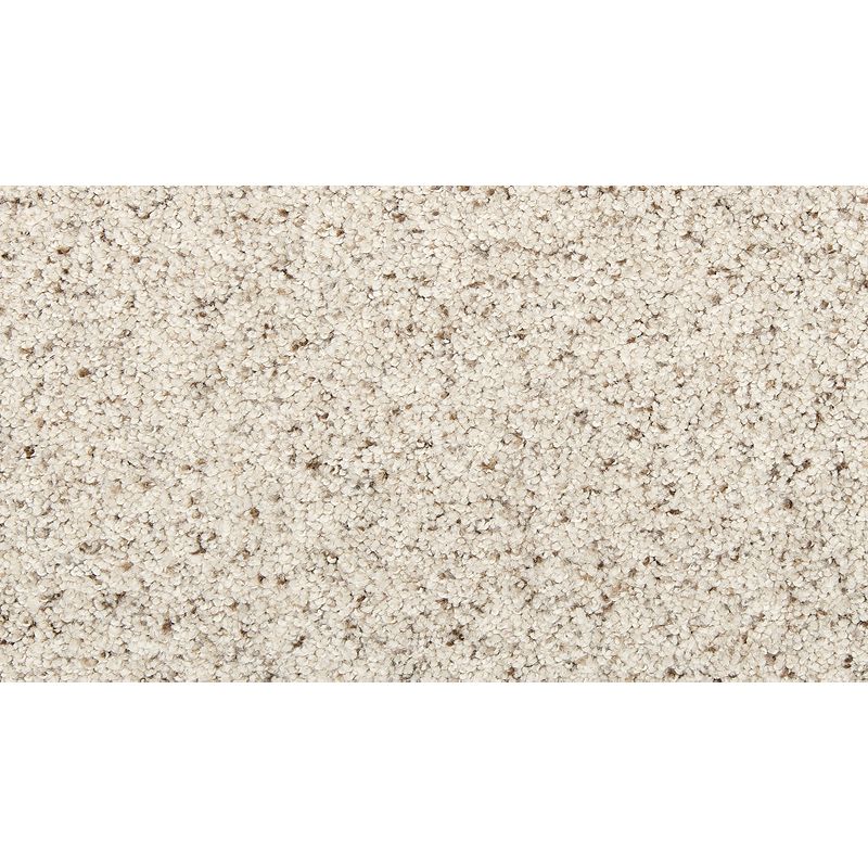 Delightful Journey I - 928 - Silver Dollar