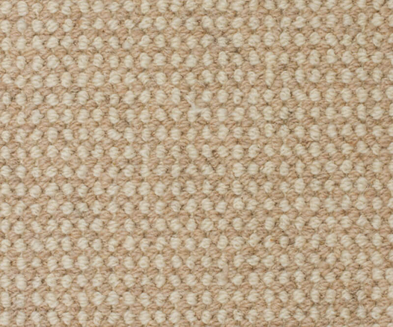 Devon - 2107 - Blackpool Sands