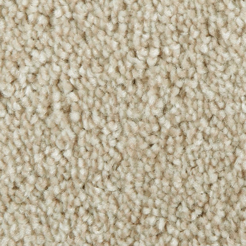 Distinct Beauty I - 737 - Dunedrift