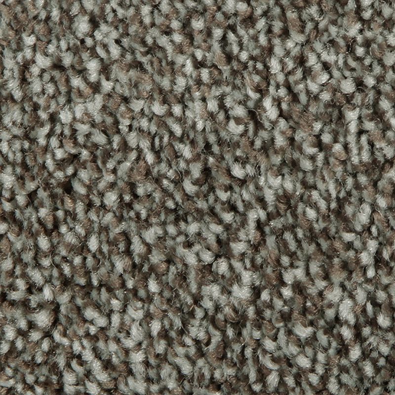 Distinct Beauty I - 868 - Americana