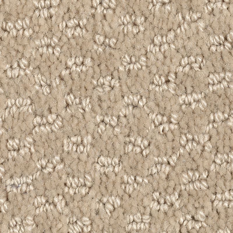 Dynamo - 732 - Bamboo Buff