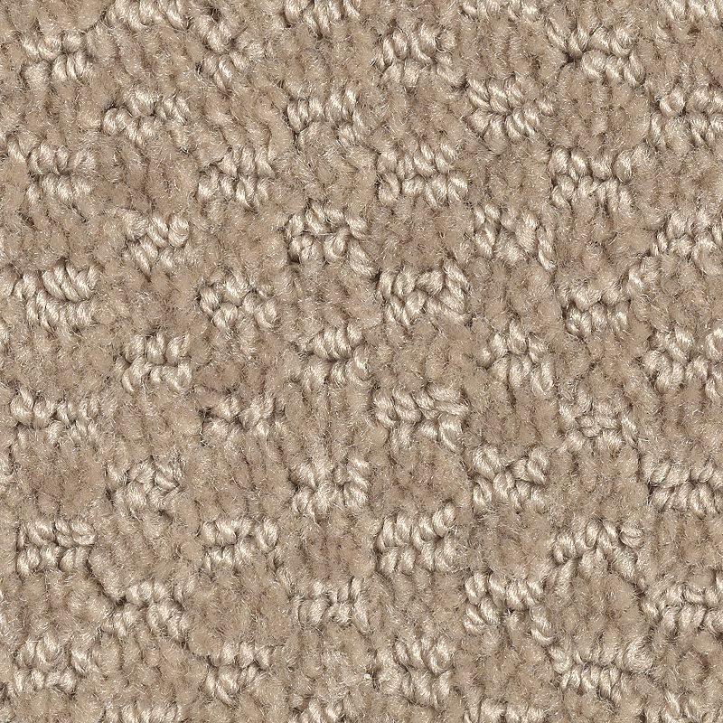 Dynamo - 772 - French Toast