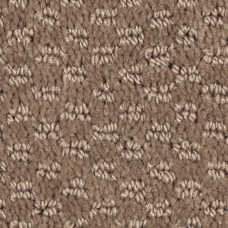 Dynamo - 862 - Gingersnap