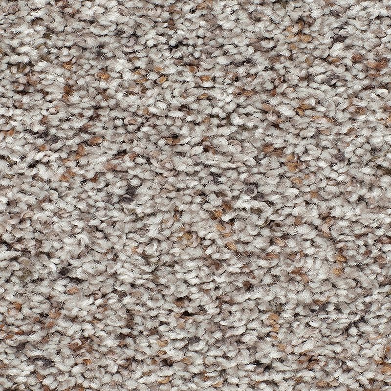 Earthly Details II - 501 - Eclipse