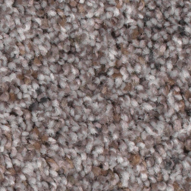 Earthly Details I - 505 - Highgate