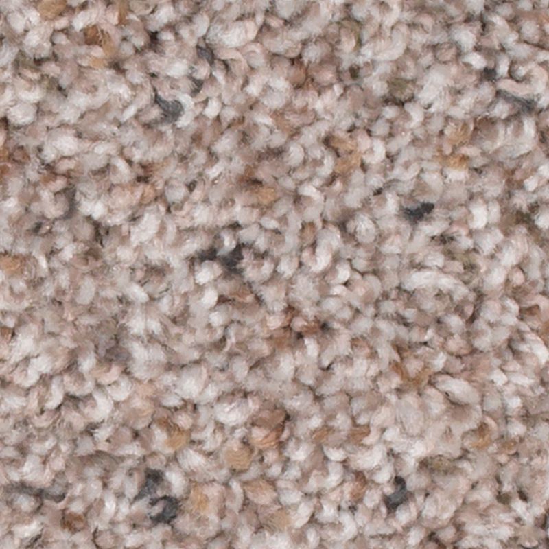 Earthly Details I - 507 - Gentle Doe