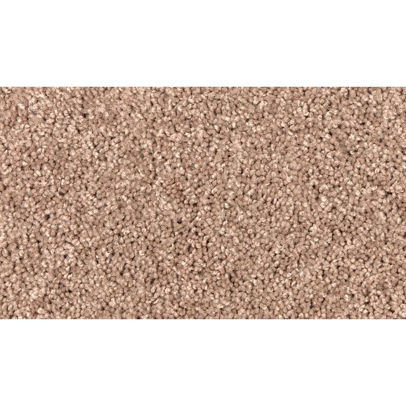 Easy Purpose - 859 - Tiberius