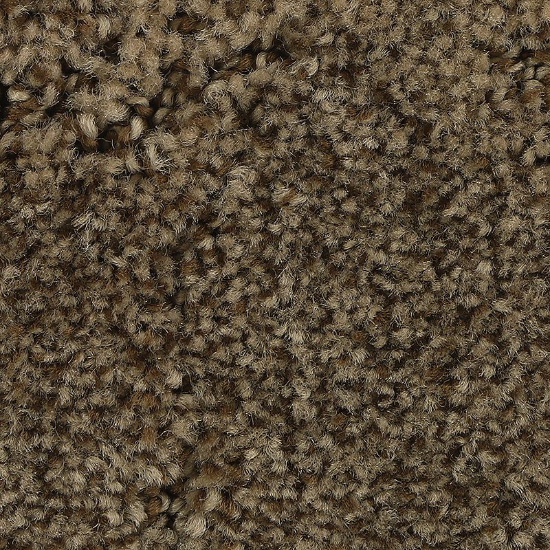 Elaborate Appeal - 850 - Hoot Owl