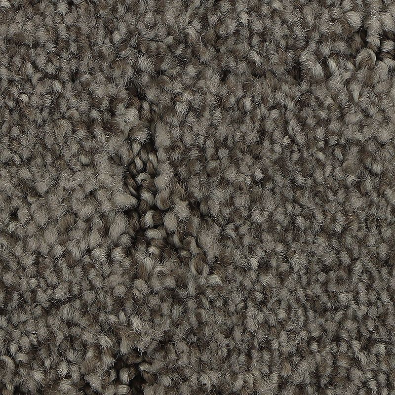 Elaborate Appeal - 924 - Oyster