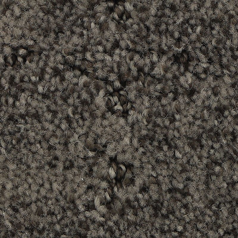 Elaborate Appeal - 984 - Sea Lion