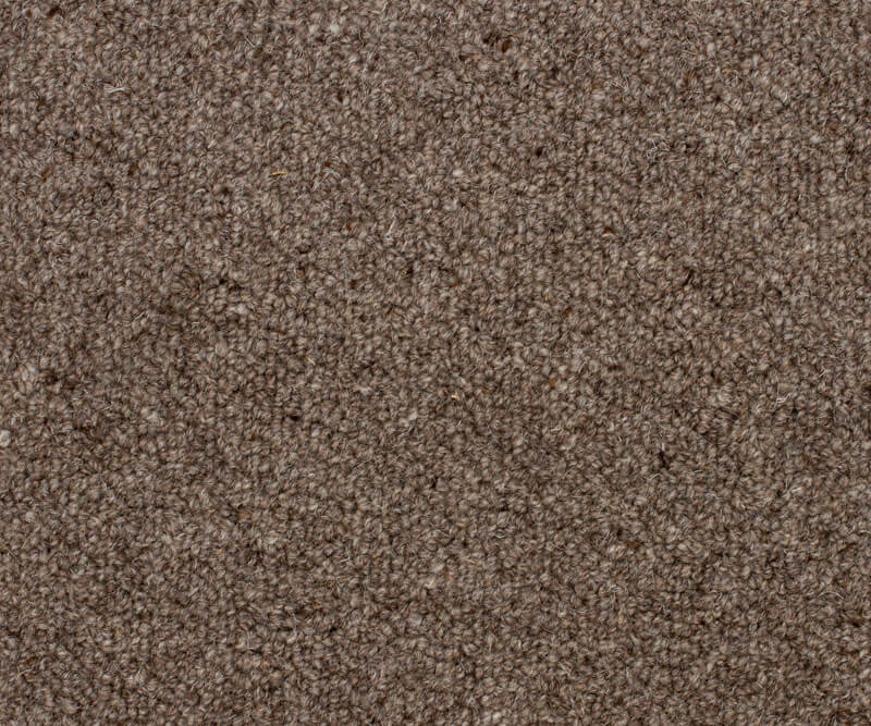 Eldorado - 2169 - Otter