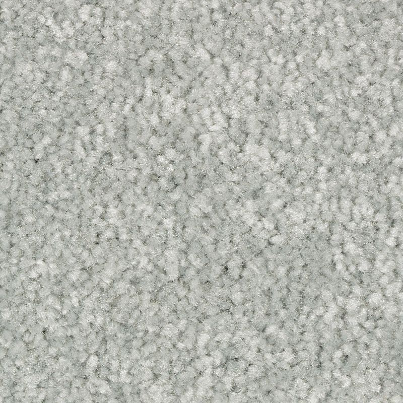 Elegant Appeal III - 628 - Calypso