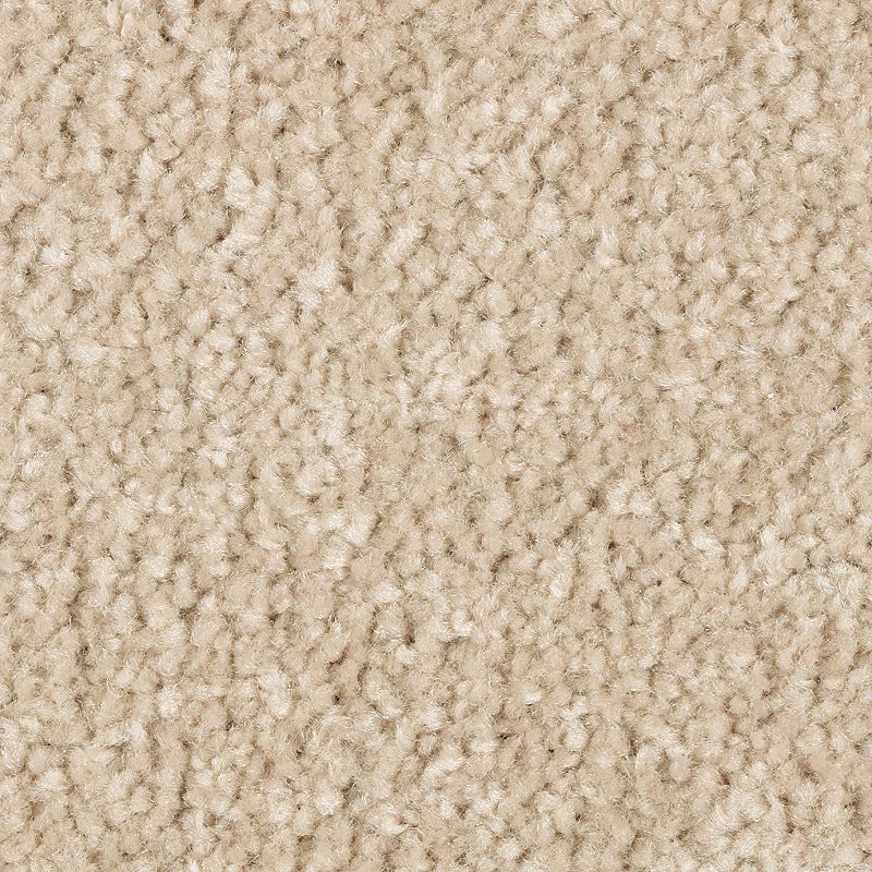 Elegant Appeal I - 826 - Ancient Scroll