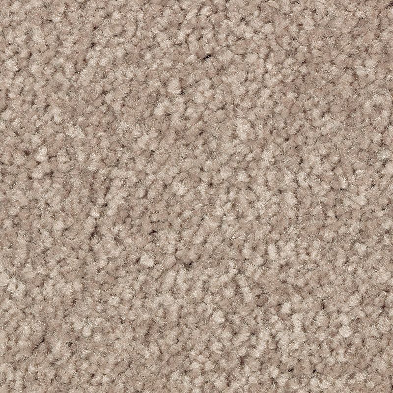 Elegant Appeal I - 828 - Arena Dorado