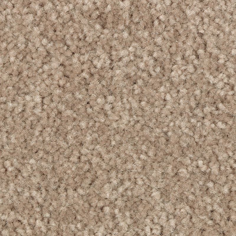 Elegant Appeal I - 832 - Dash O'Spice