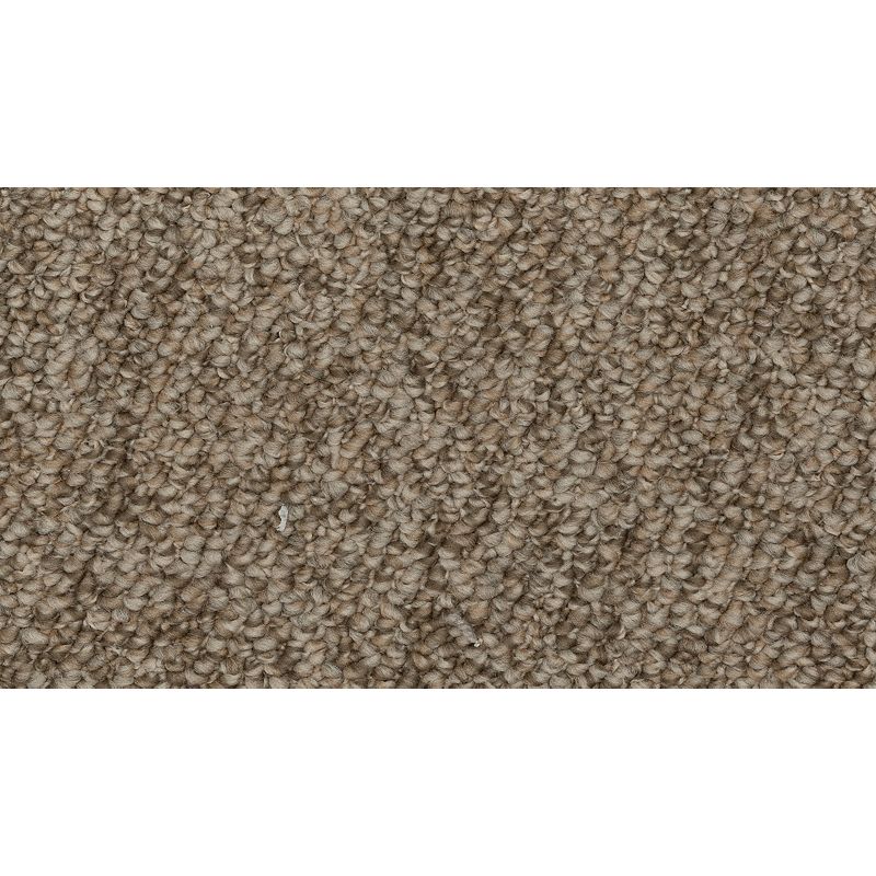 Enduring Amazement - 816 - Kodiak