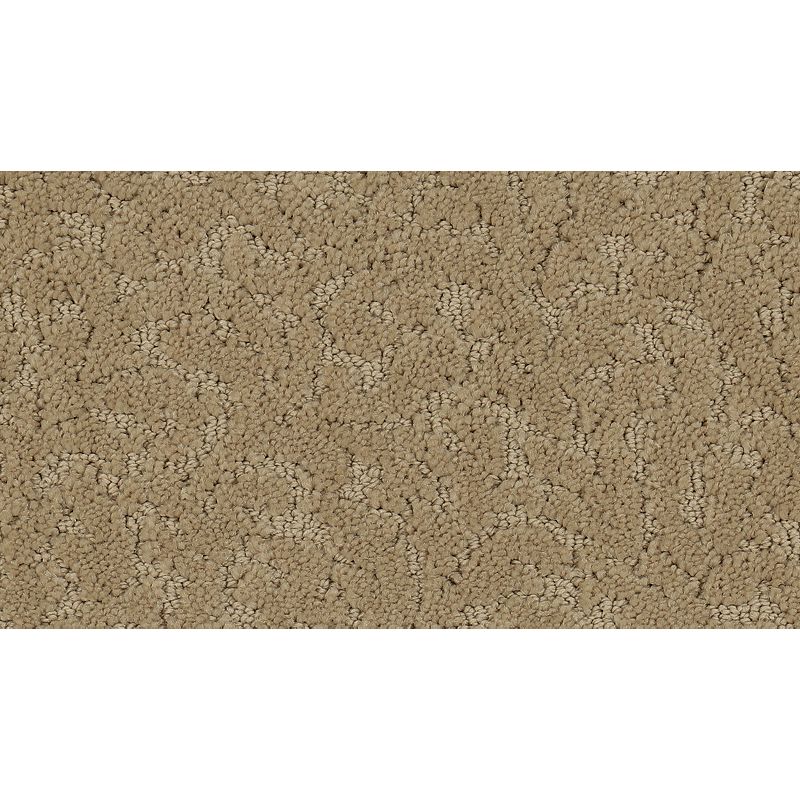 Exceptional Beauty - 518 - Outback