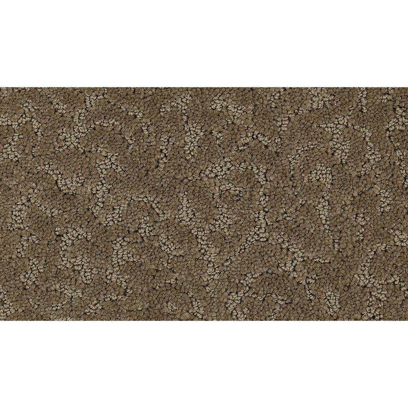 Exceptional Beauty - 523 - Montebello