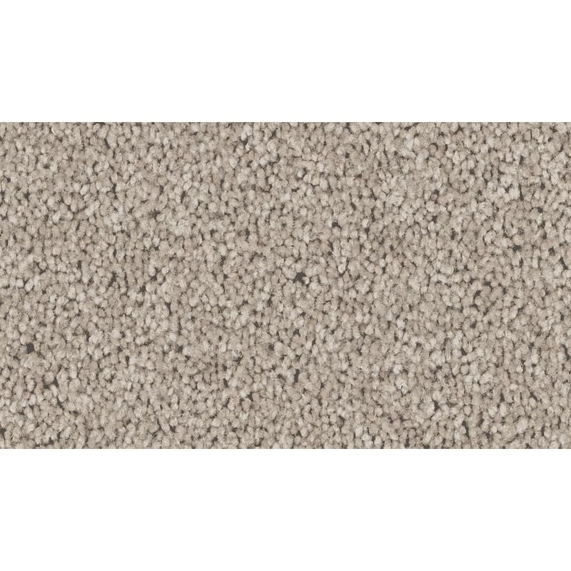 Exceptional Choice - 532 - Graphite