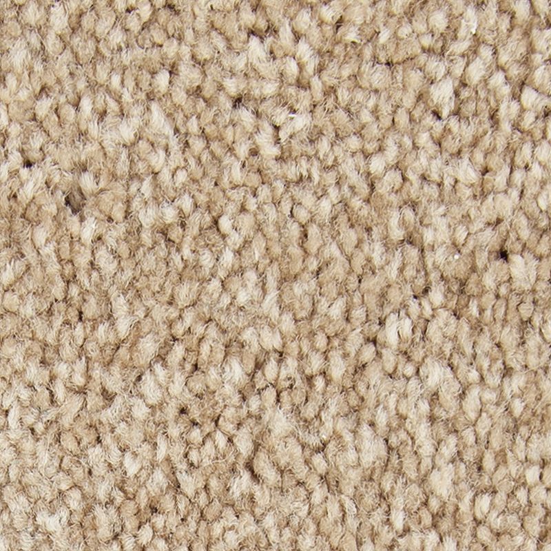 Exceptional Choice - 549 - Caramel Ripple