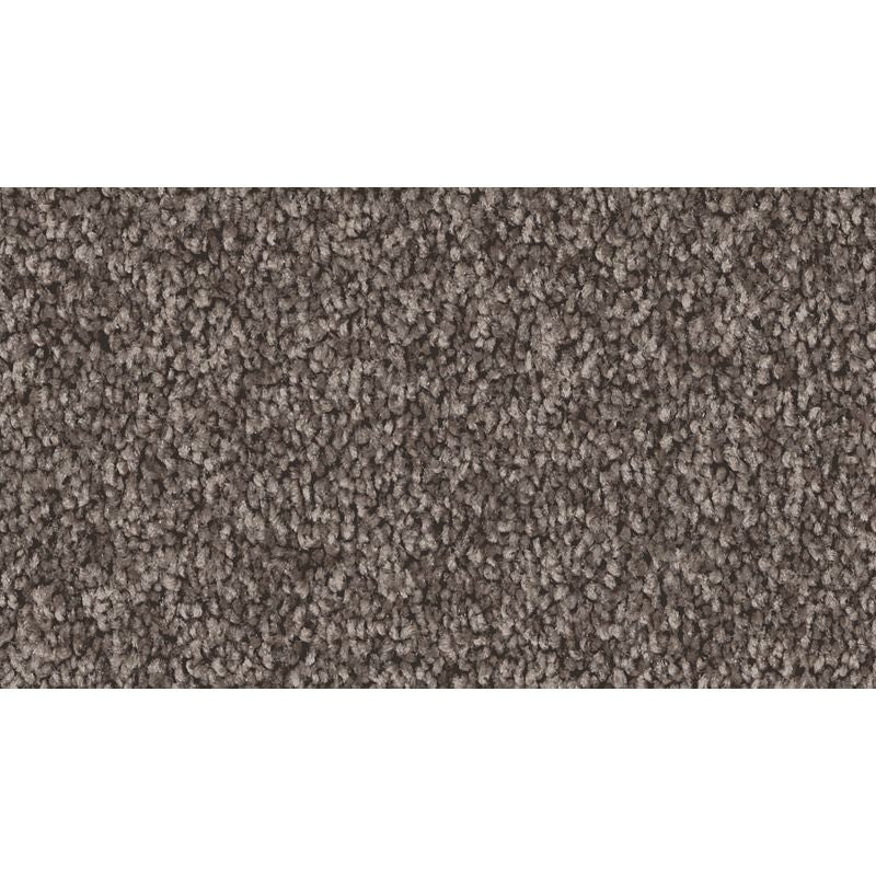 Exceptional Choice - 558 - Weathered Plank