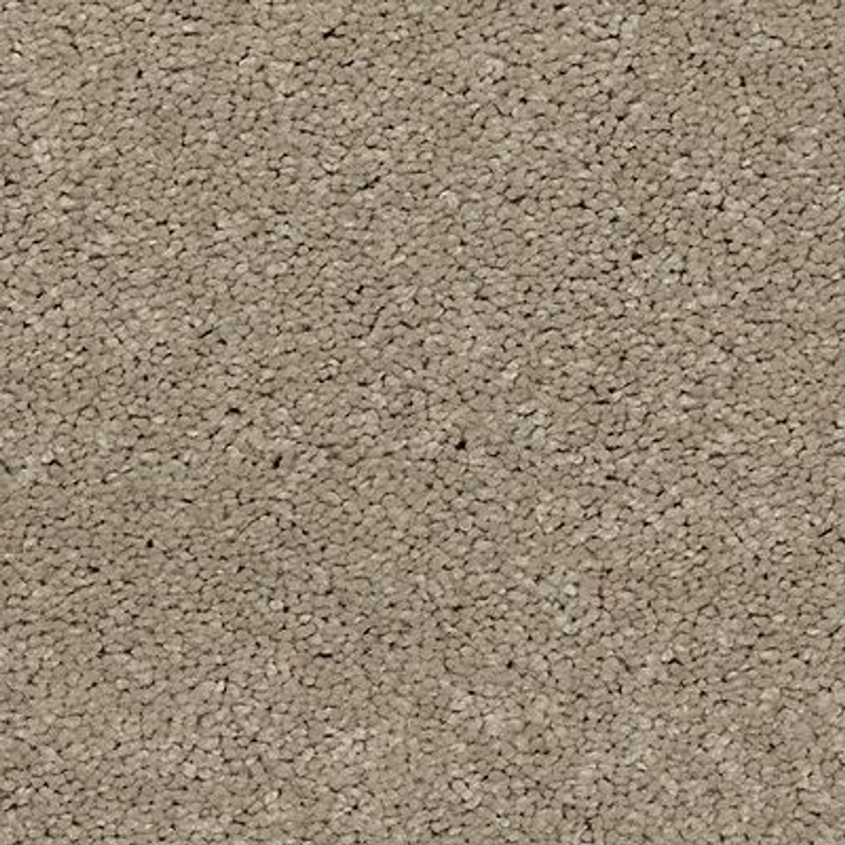 Exciting Selection I - 762 - Graceful