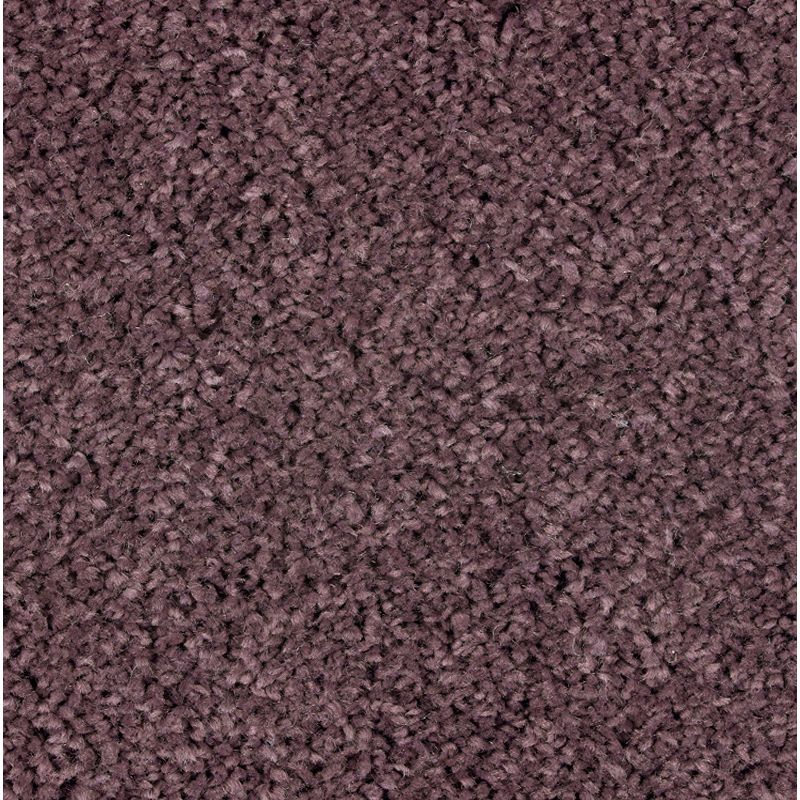 Exquisite Attraction - 541 - Sweet Wine