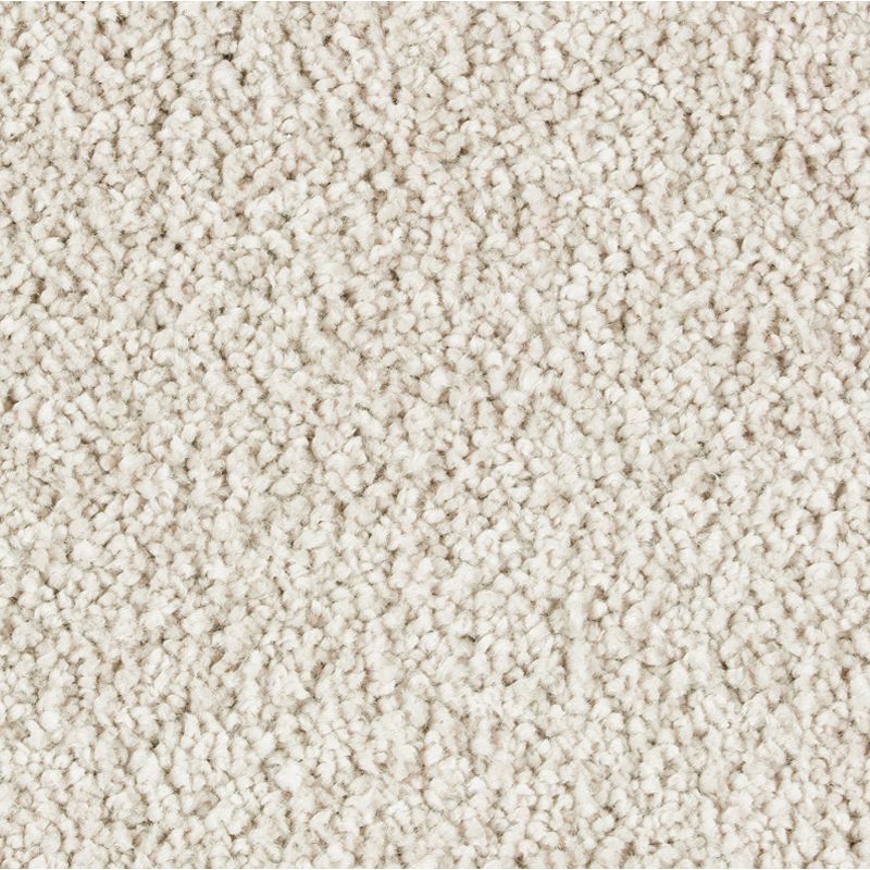 Exquisite Beauty - 528 - Enchanting