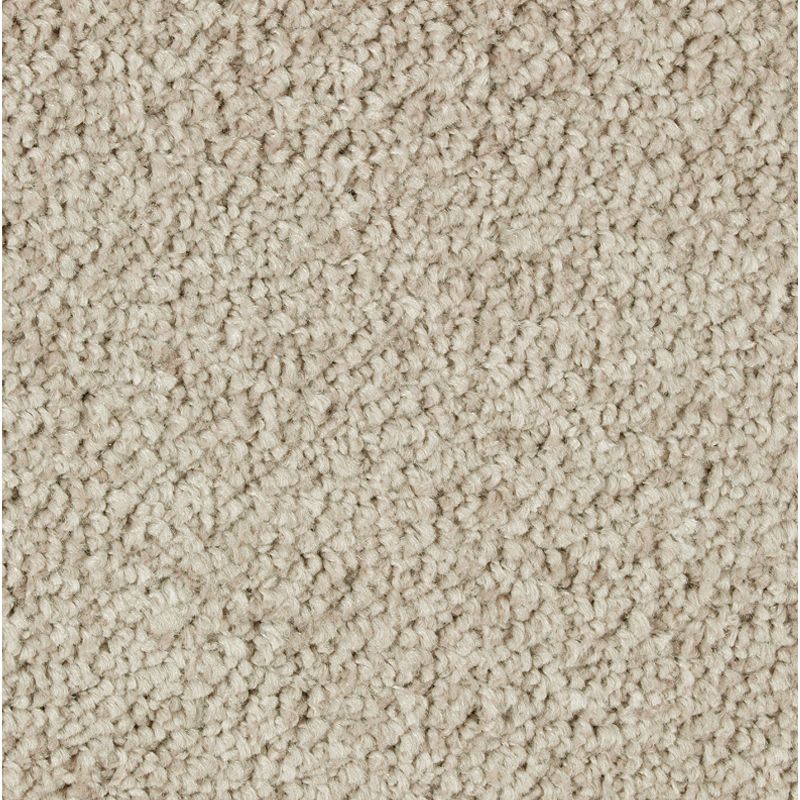 Exquisite Beauty - 538 - Joyful Prelude