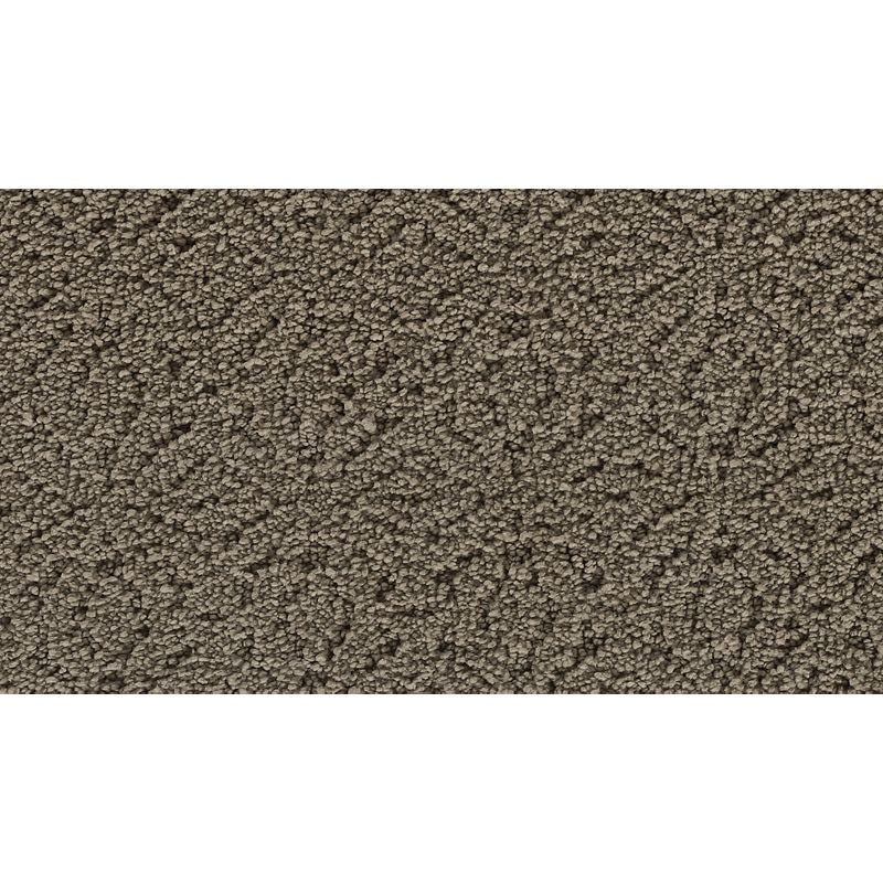 Exquisite Charm - 517 - Cathedral