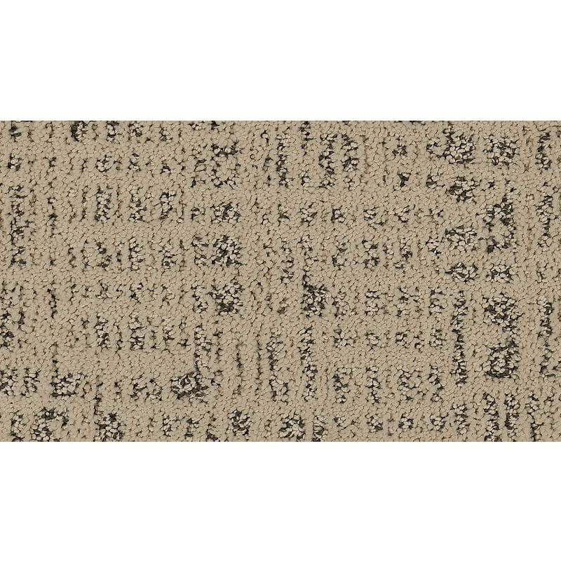 Exquisite Portrait - 505 - Stormy Frost