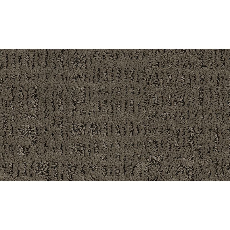 Exquisite Portrait - 515 - Clam Shell