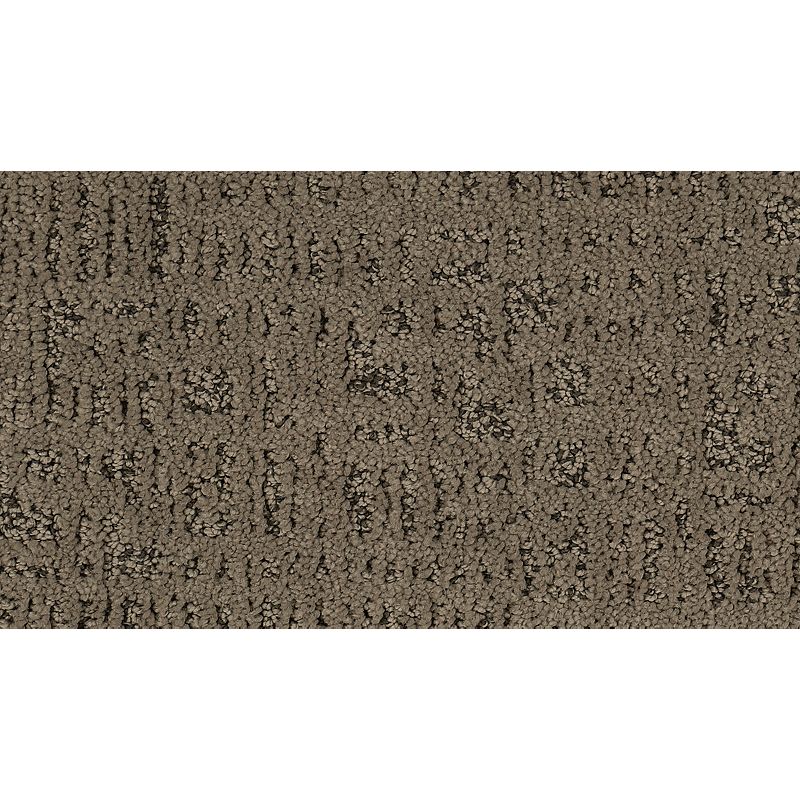 Exquisite Portrait - 516 - Cathedral