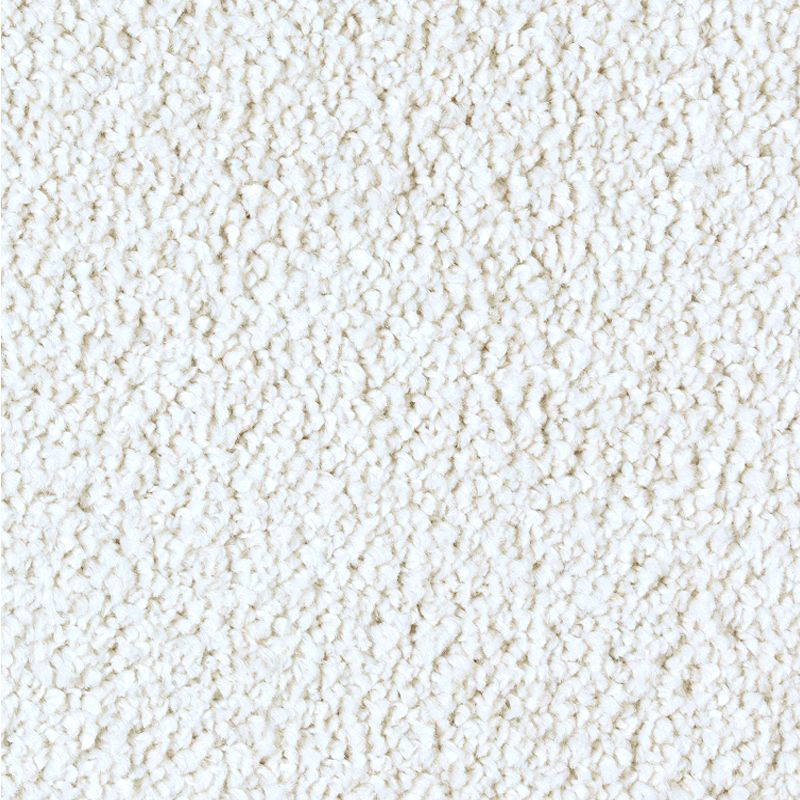 Exquisite Tones - 508 - Monarch Bone