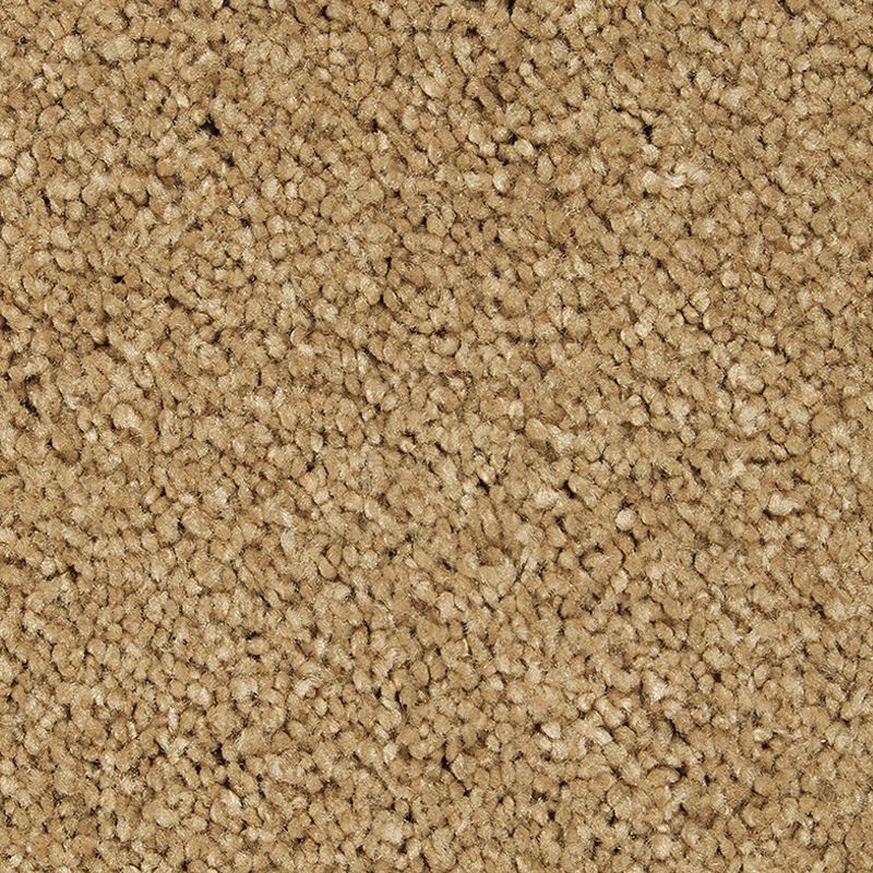 Gentle Approach - 540 - Stonington Beige