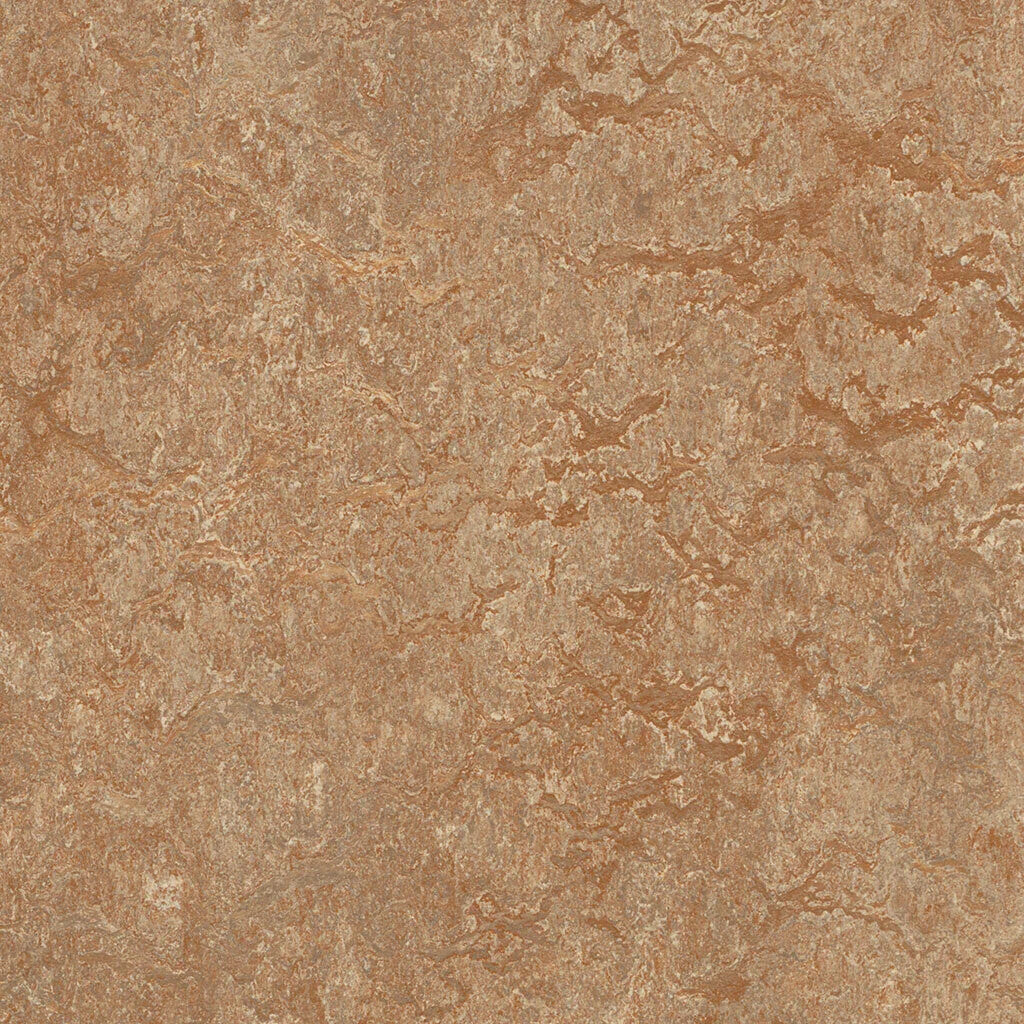 MCT - 3233 - Shitake