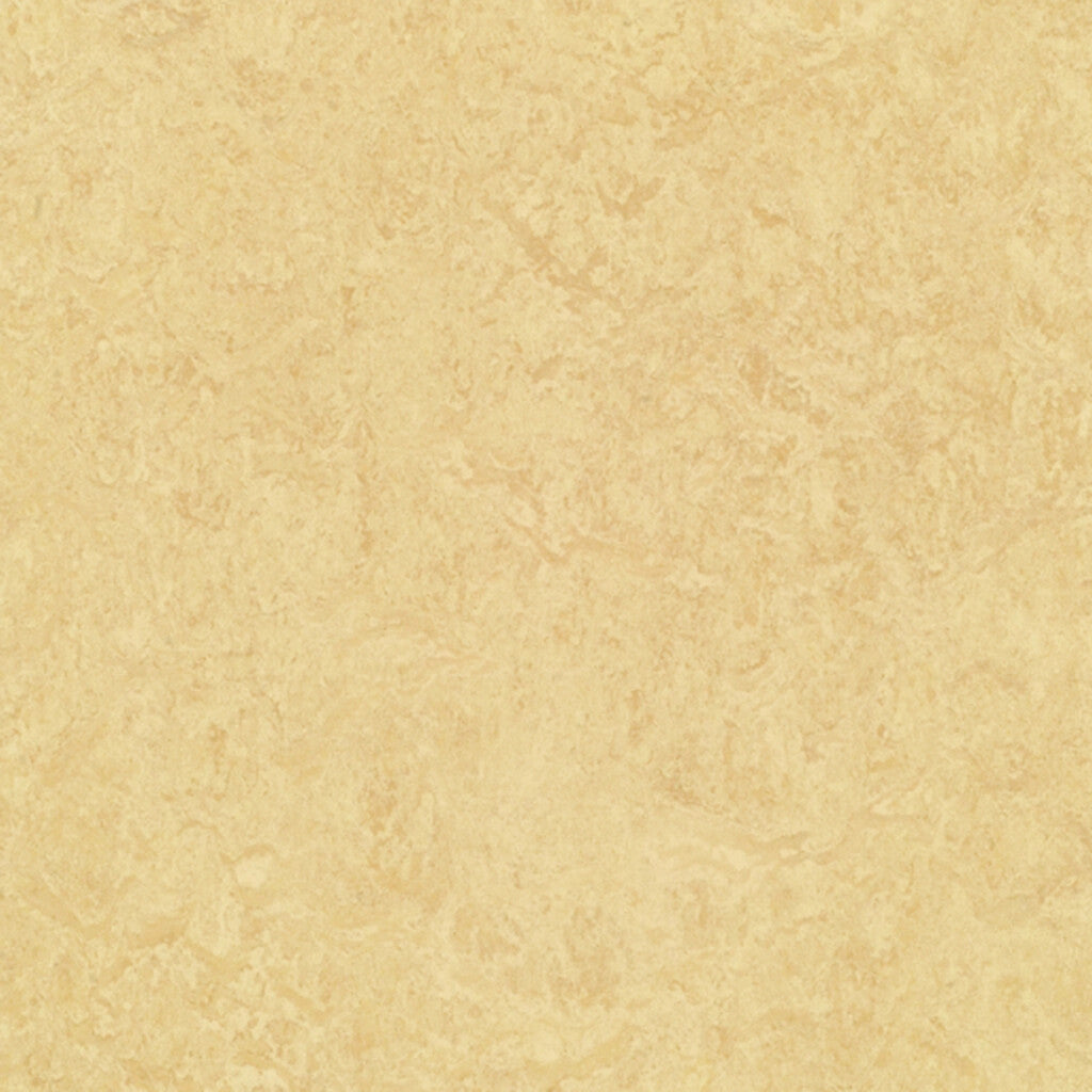 MCT - 795 - Butter