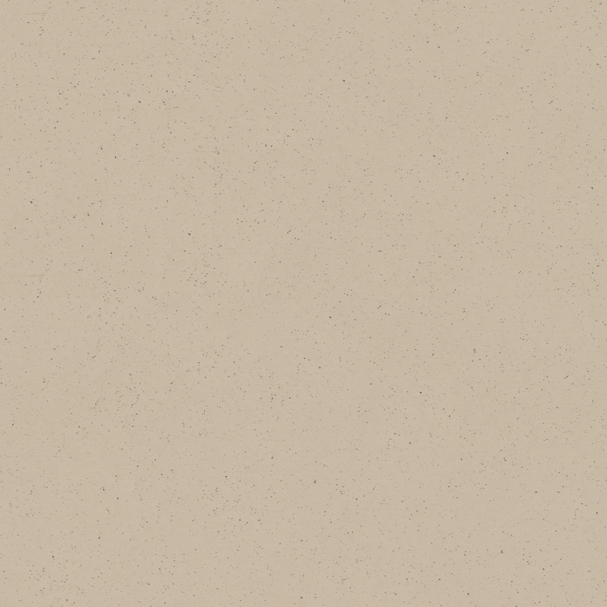 Cocoa - 3590 - Meringue