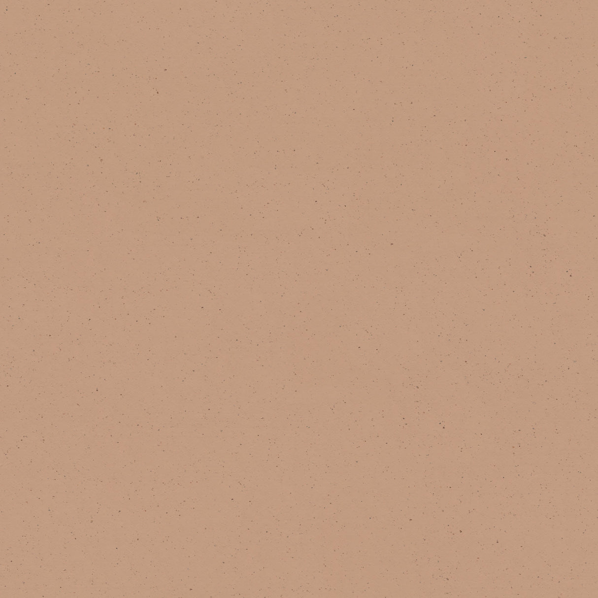 Cocoa - 3592 - Salted Caramel