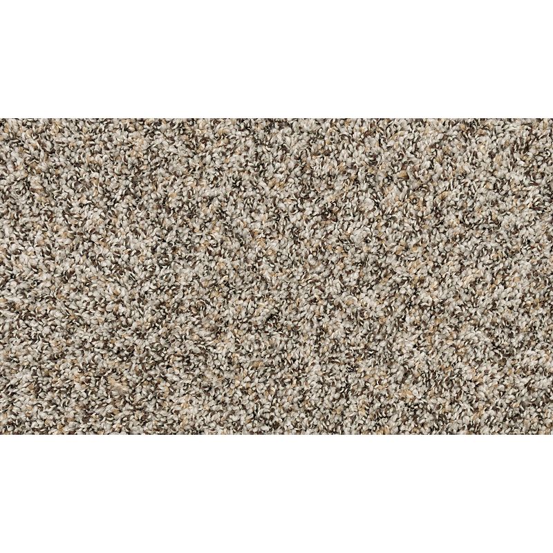 Purrsonality I - 957 - Highway