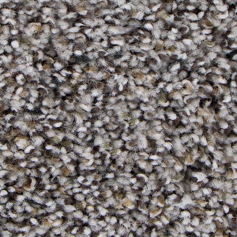 Unique Direction - 501 - Overcast