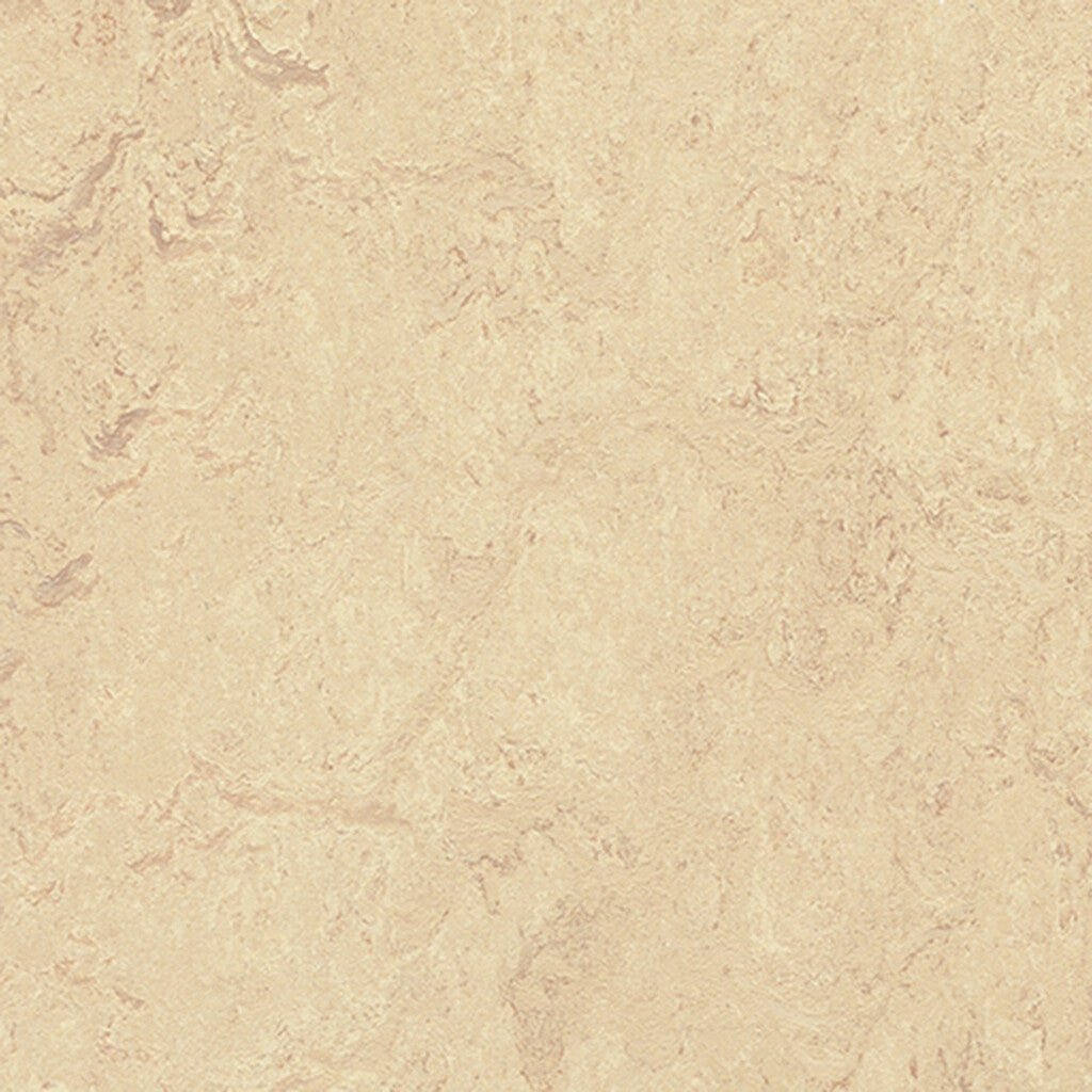 Modular - t2713 - Calico