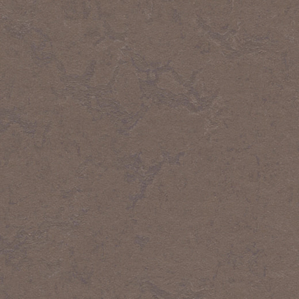 Modular - t3568 - Delta Lace