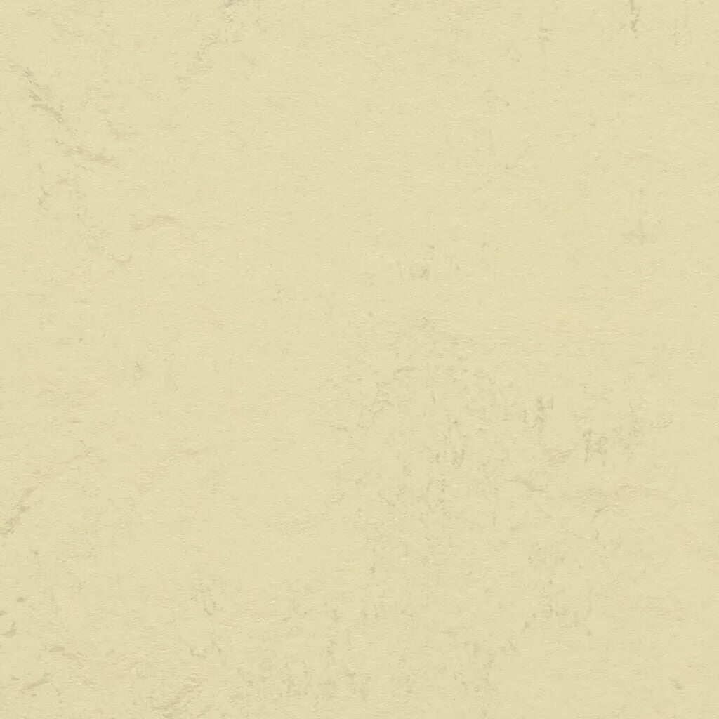 Modular - t3722 - Stardust