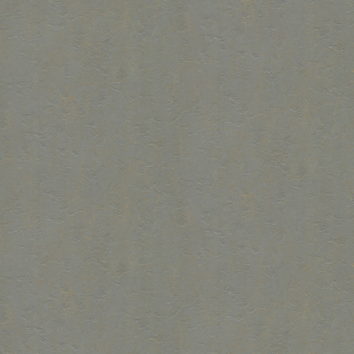 Slate - E3747 - Lakeland Shale