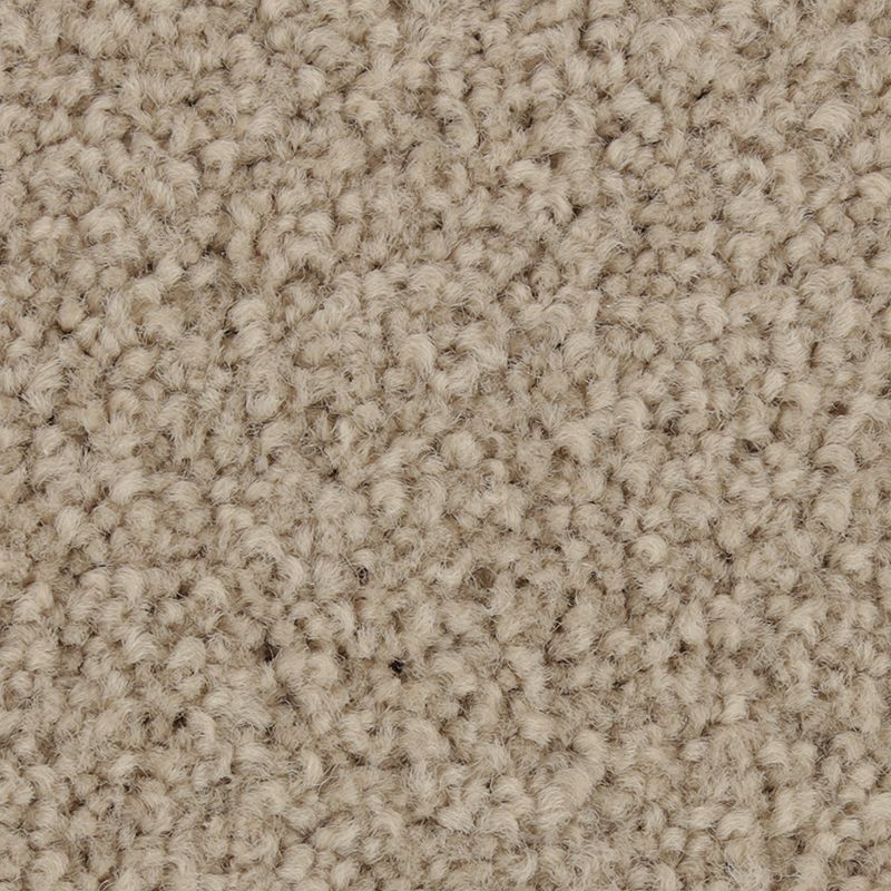 Coastal Fashion II - 803 - Soft Feather