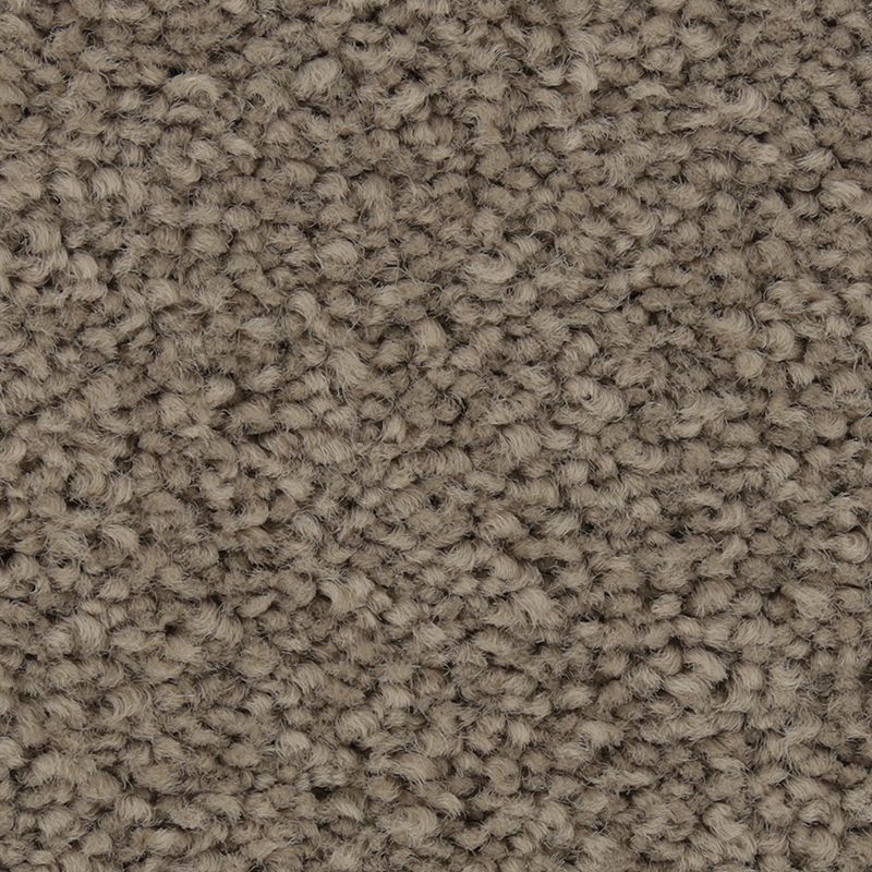 Coastal Fashion I - 942 - Porpoise