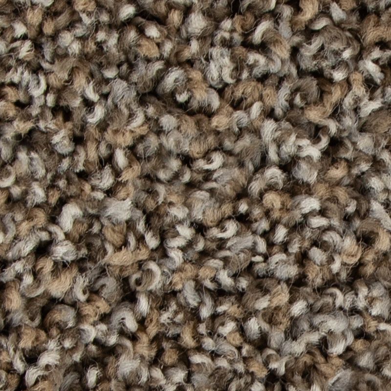 Color Fusion II - 849 - Driftwood